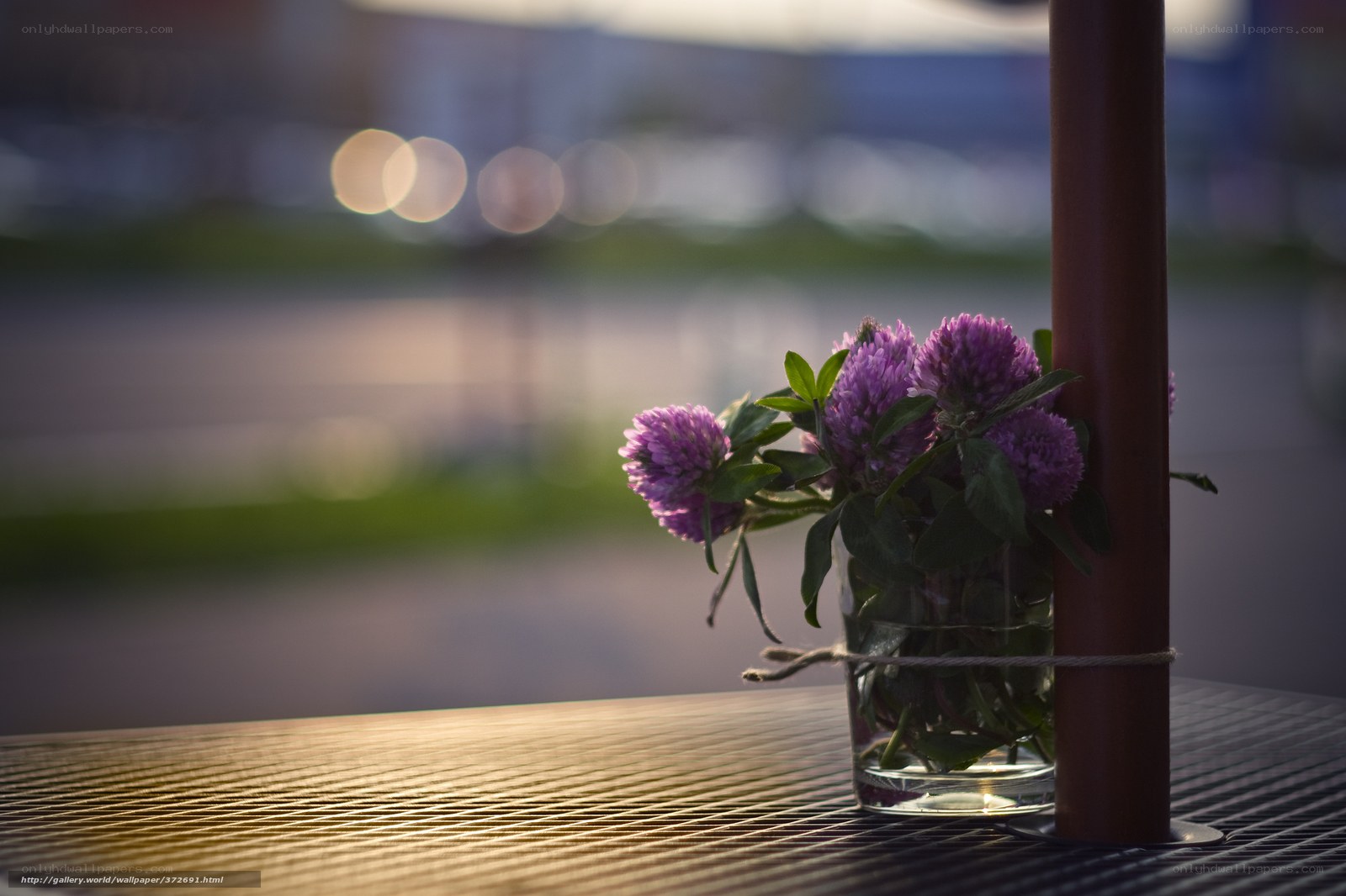 Purple flowers on a table