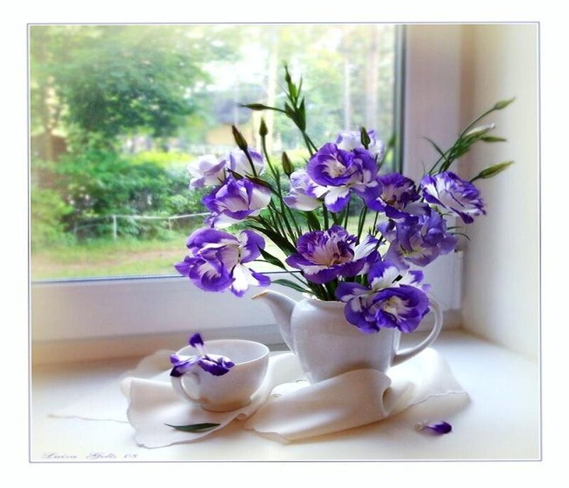 Purple flowers on a windowsill