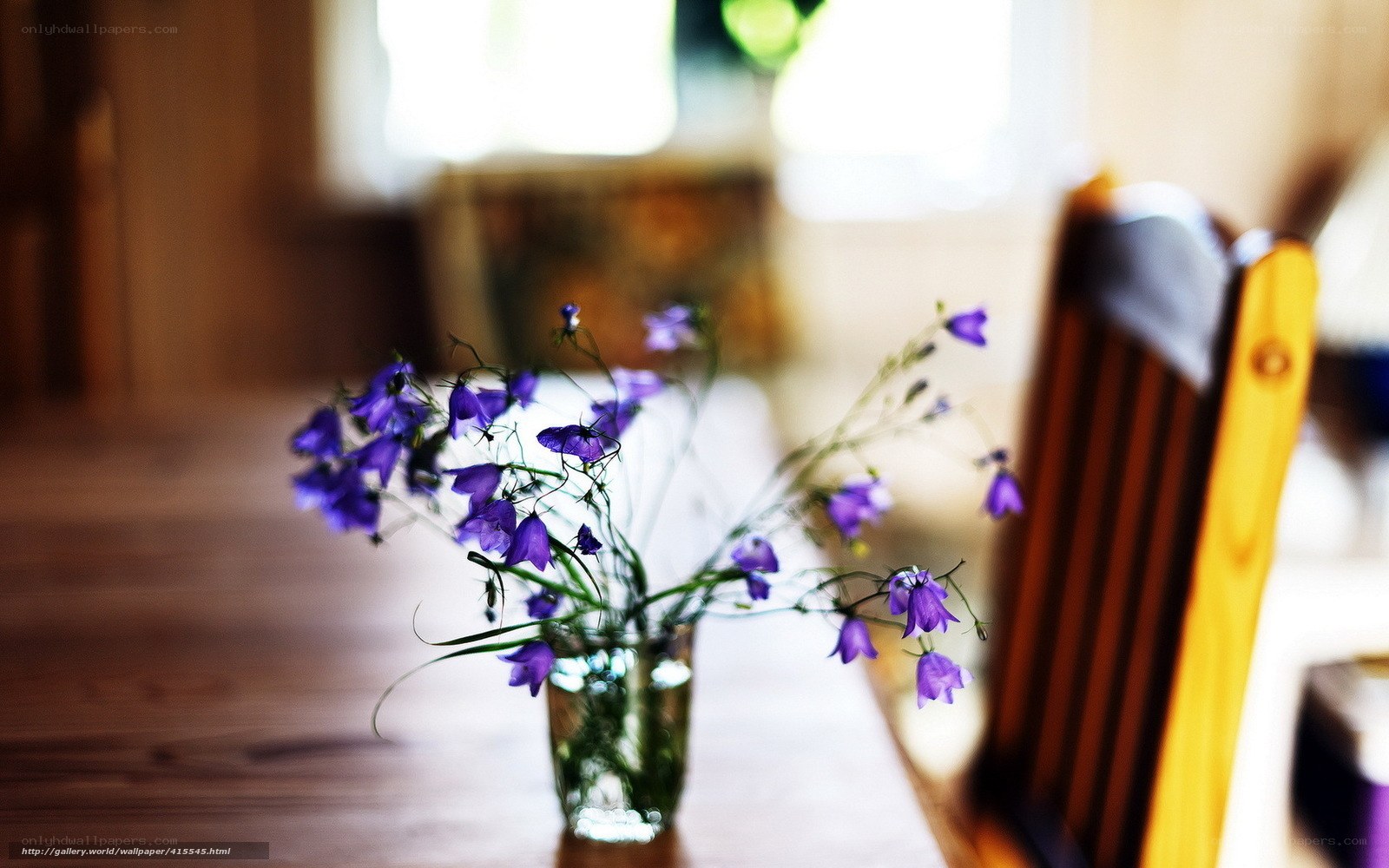 Purple flowers on a wooden table