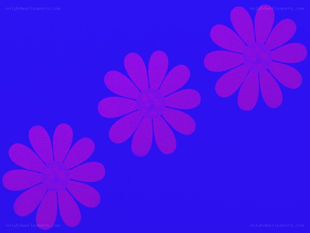 purple flowers on blue background