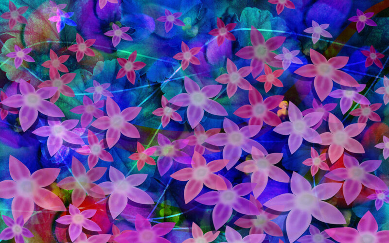Purple Flowers on Blue Background — Dreamy