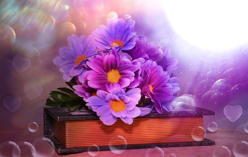 Purple Flowers on Book — Dreamy