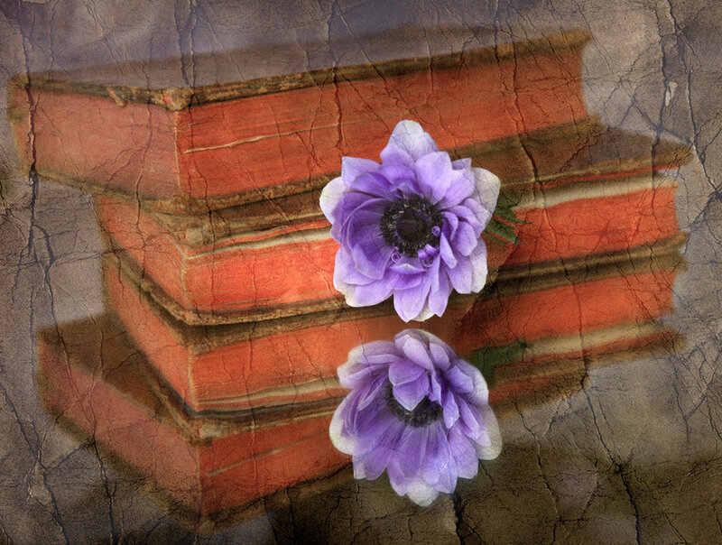 Purple Flowers on Books