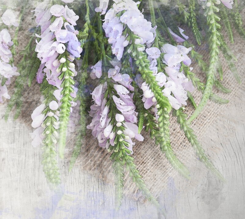 Purple Flowers on Burlap