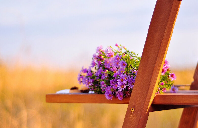 Purple Flowers on Chair
