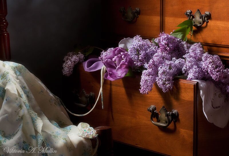 Purple Flowers on Dresser — Dramatic