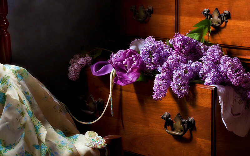 Purple Flowers on Dresser