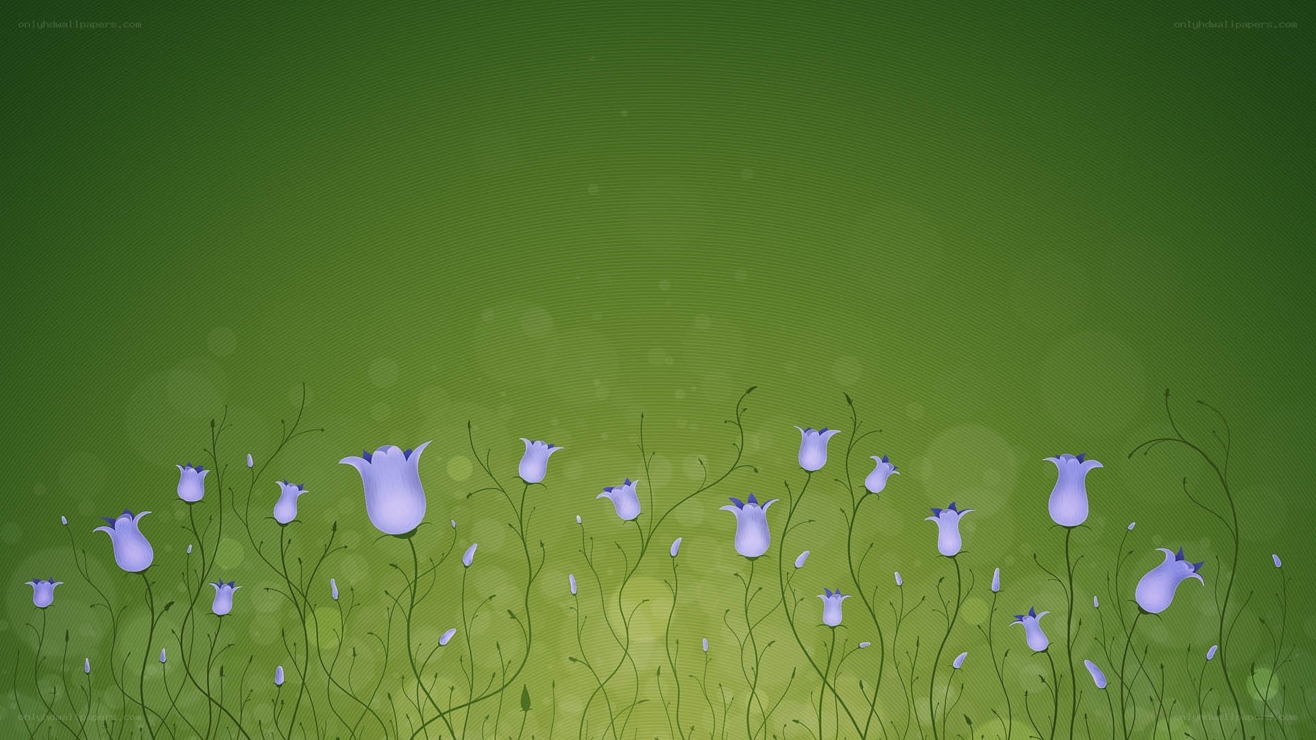 purple flowers on green background