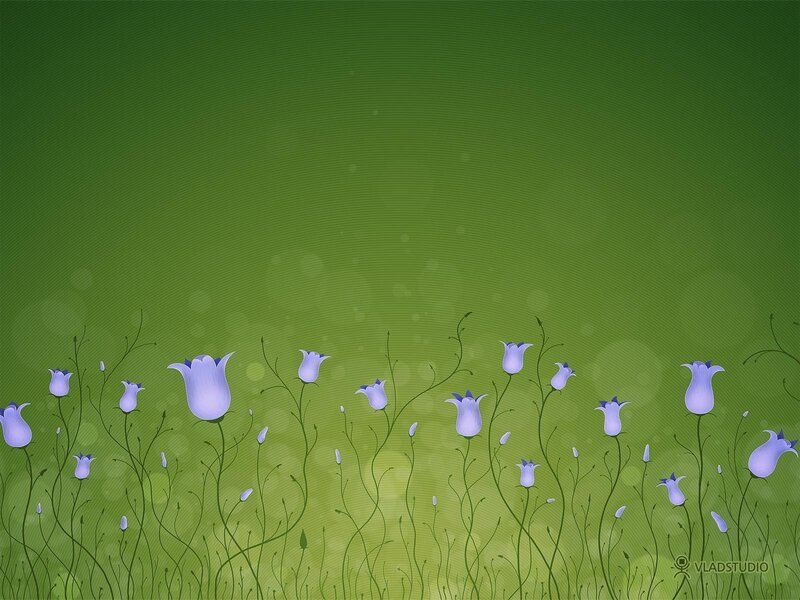 purple flowers on green field