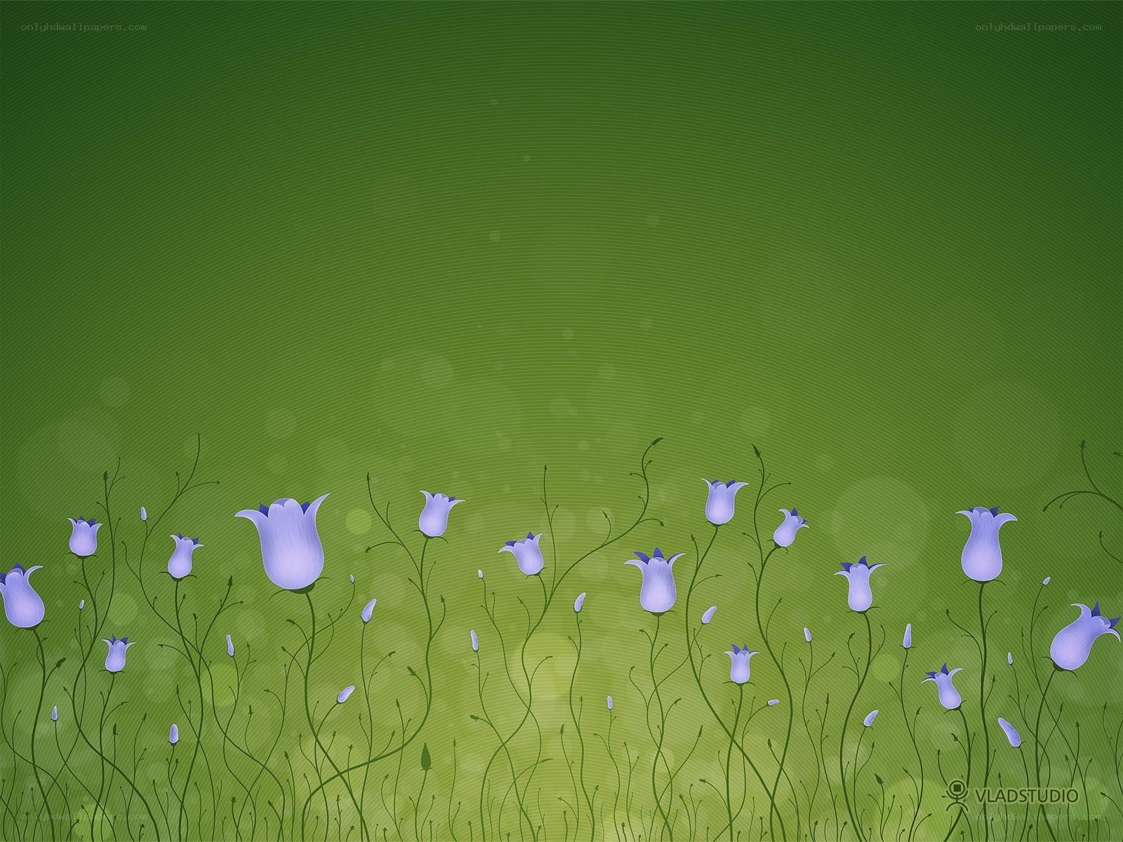 purple flowers on green field