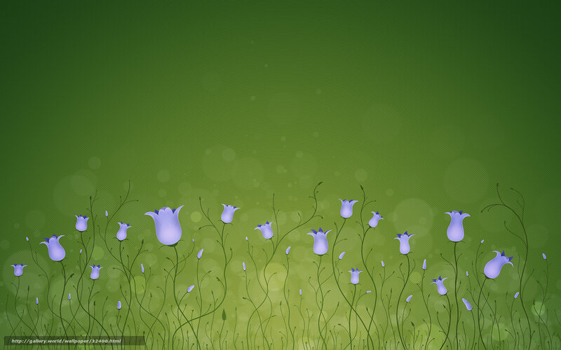 purple flowers on green field