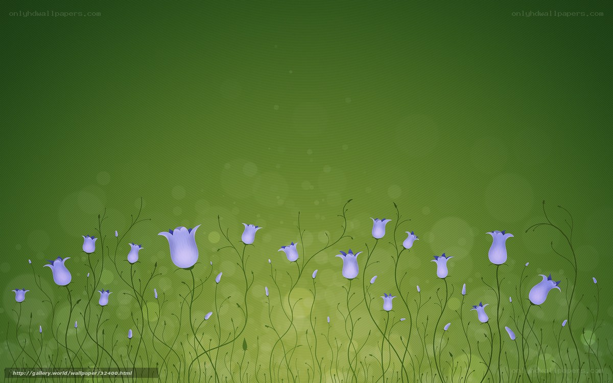 purple flowers on green field