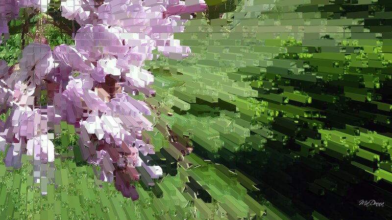 Purple Flowers on Green Leaves — Serene