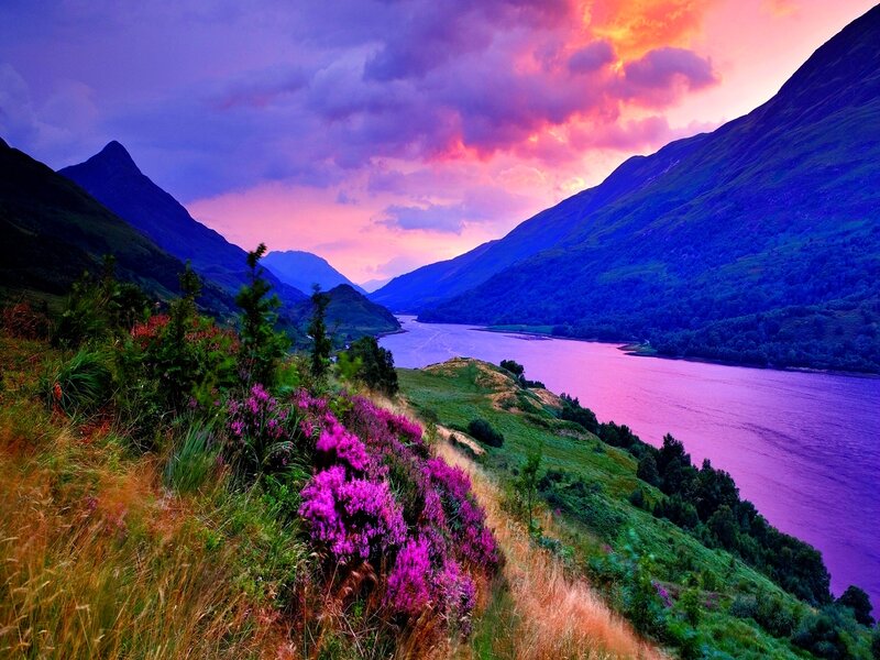 Purple Flowers on Hillside — Dramatic, Sunset, Photograph, River