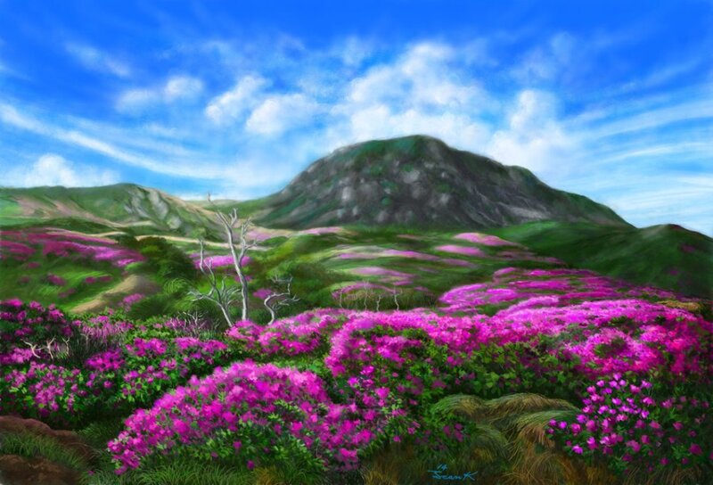 Purple Flowers on Mountain — Pink, Serene, Spring