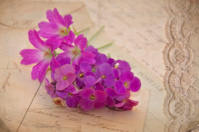 Purple Flowers on Paper