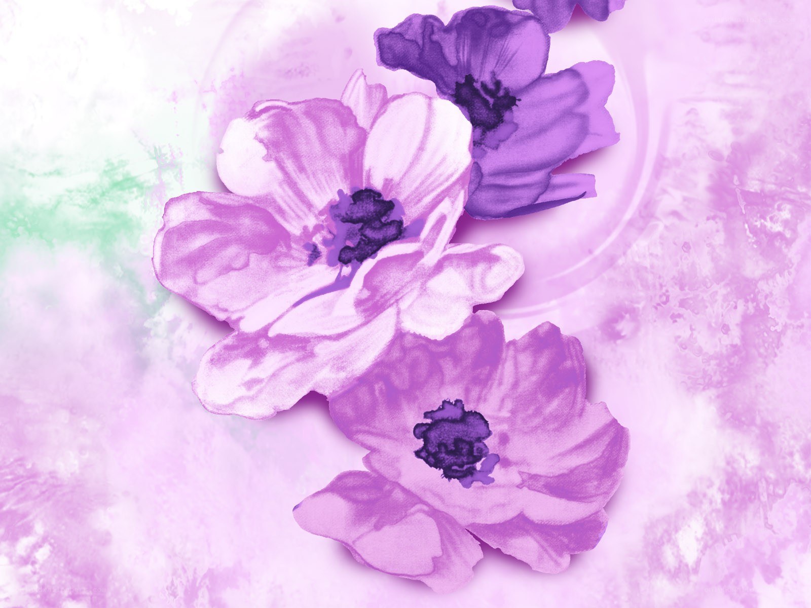 purple flowers on pastel background