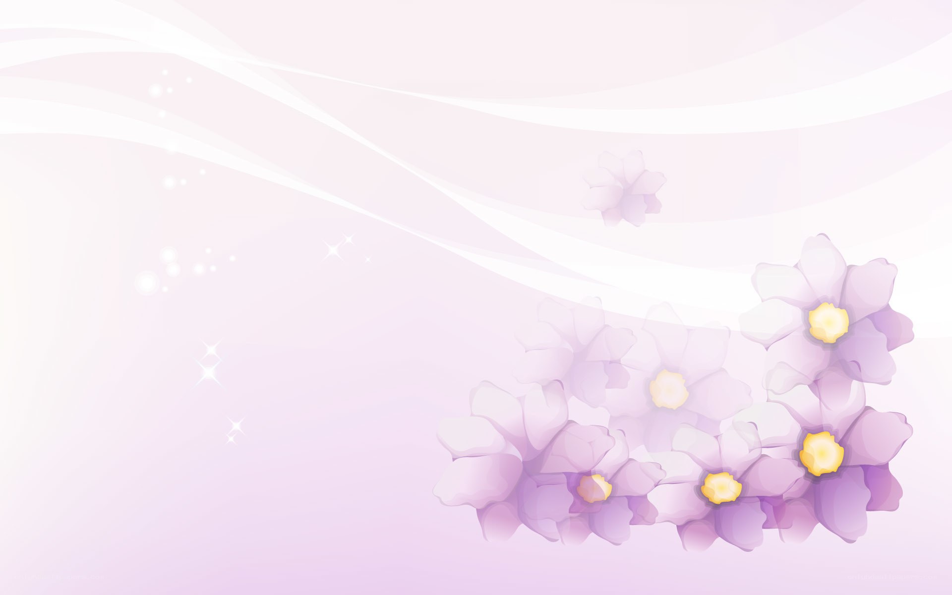 purple flowers on pink background