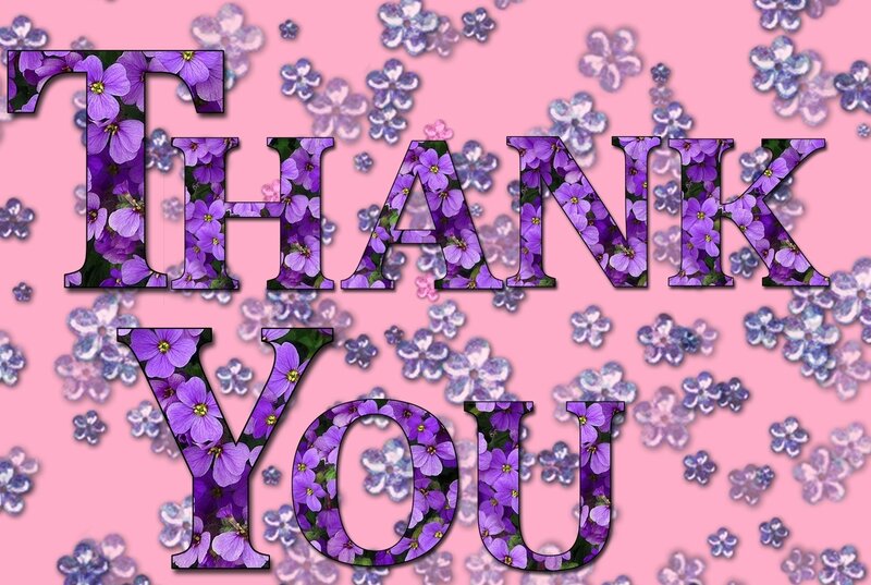 Purple Flowers on Pink — Grateful