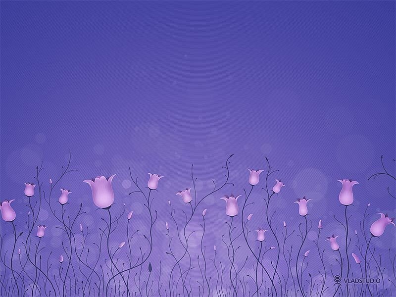 purple flowers on purple background
