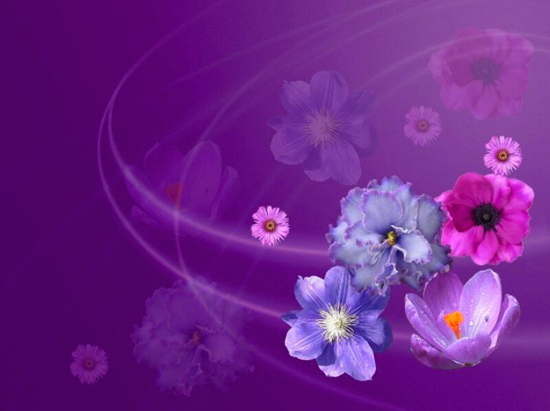 Purple Flowers on Purple Background — Serene
