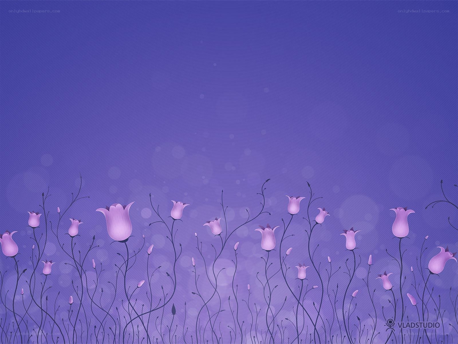 purple flowers on purple background