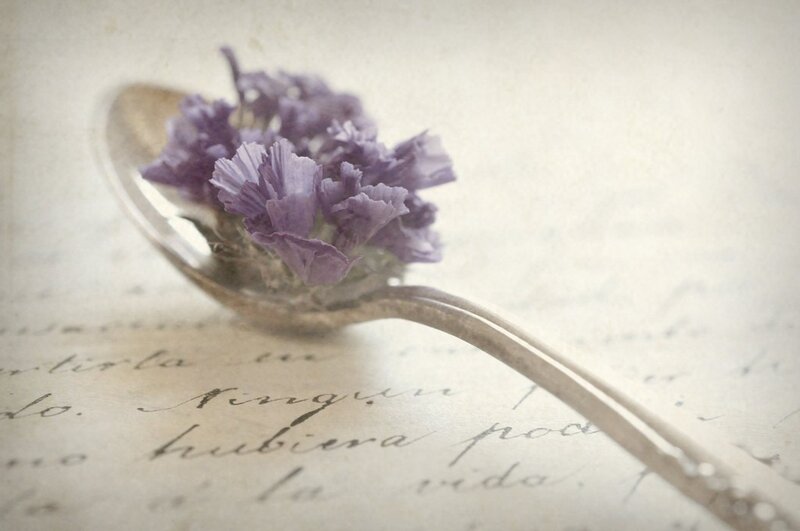Purple Flowers on Spoon
