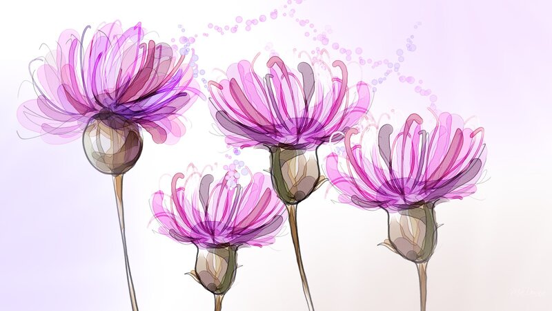 Purple Flowers on Stems