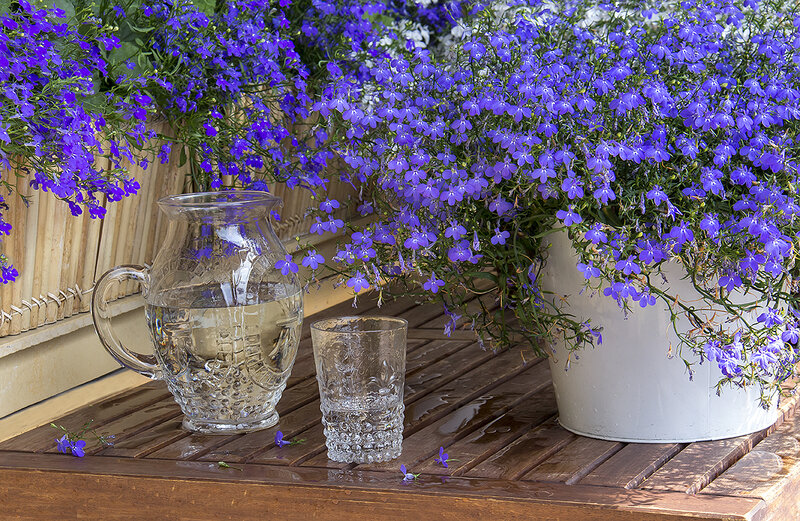 Purple Flowers on Table
