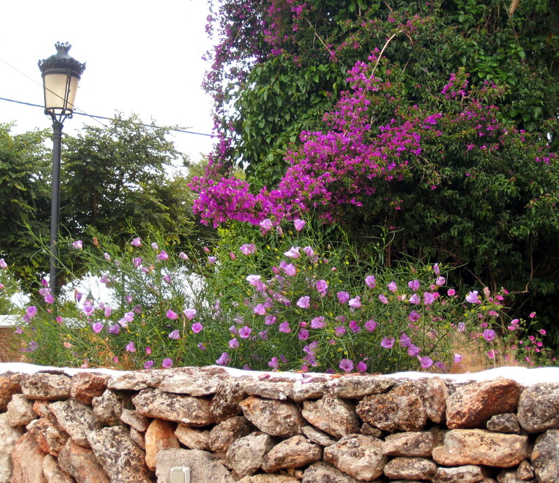 Purple Flowers on Wall