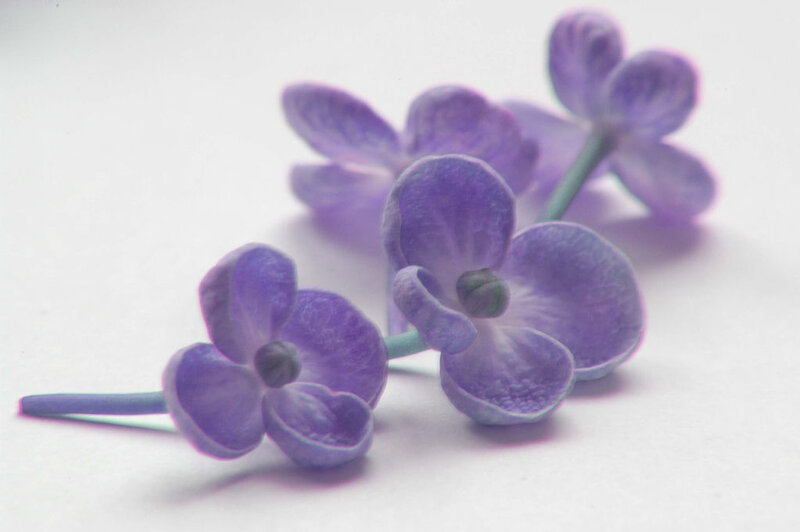 Purple Flowers on White