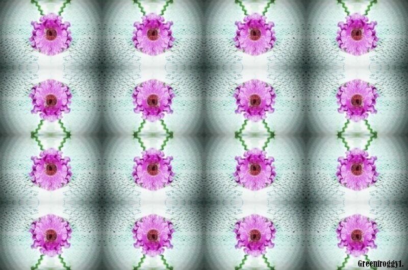 Purple Flowers Pattern — Symmetrical