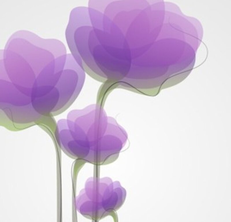 Purple Flowers