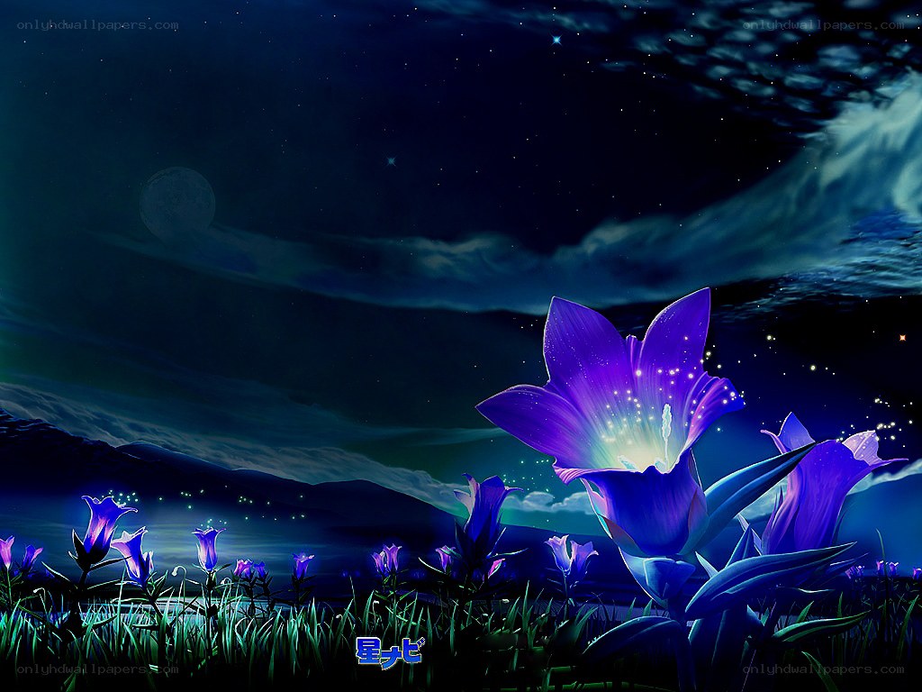 Purple flowers under a starry sky