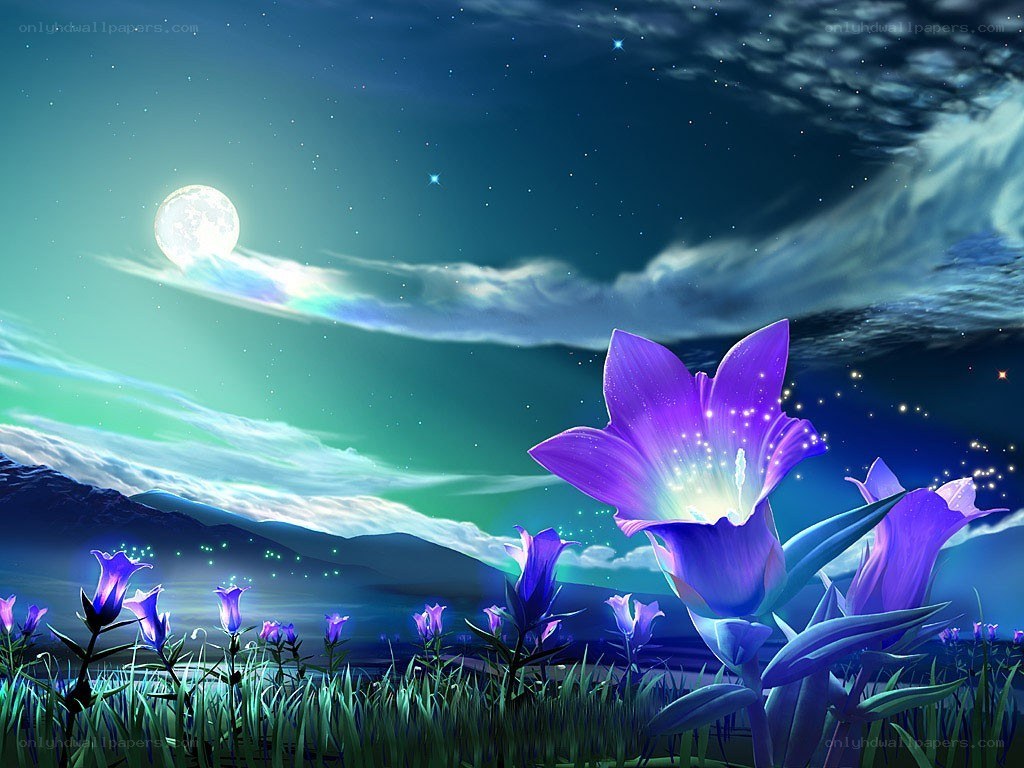 Purple flowers under moonlight
