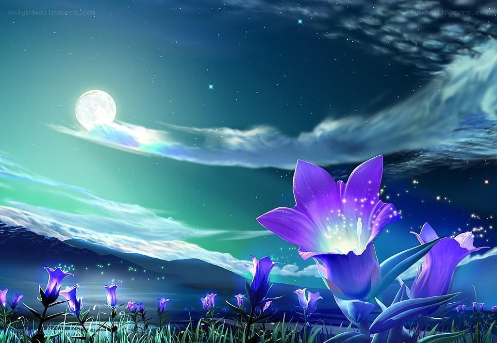 Purple flowers under moonlight