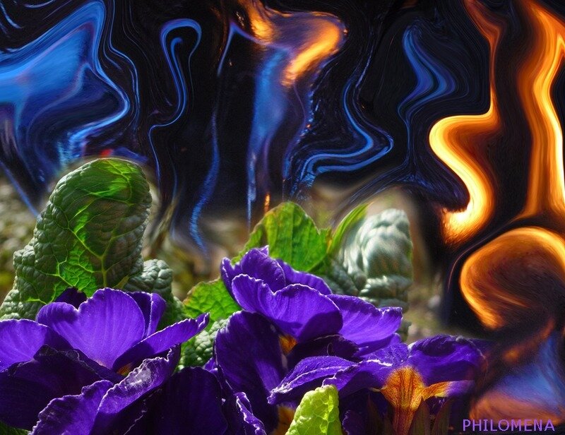 Purple flowers with abstract background