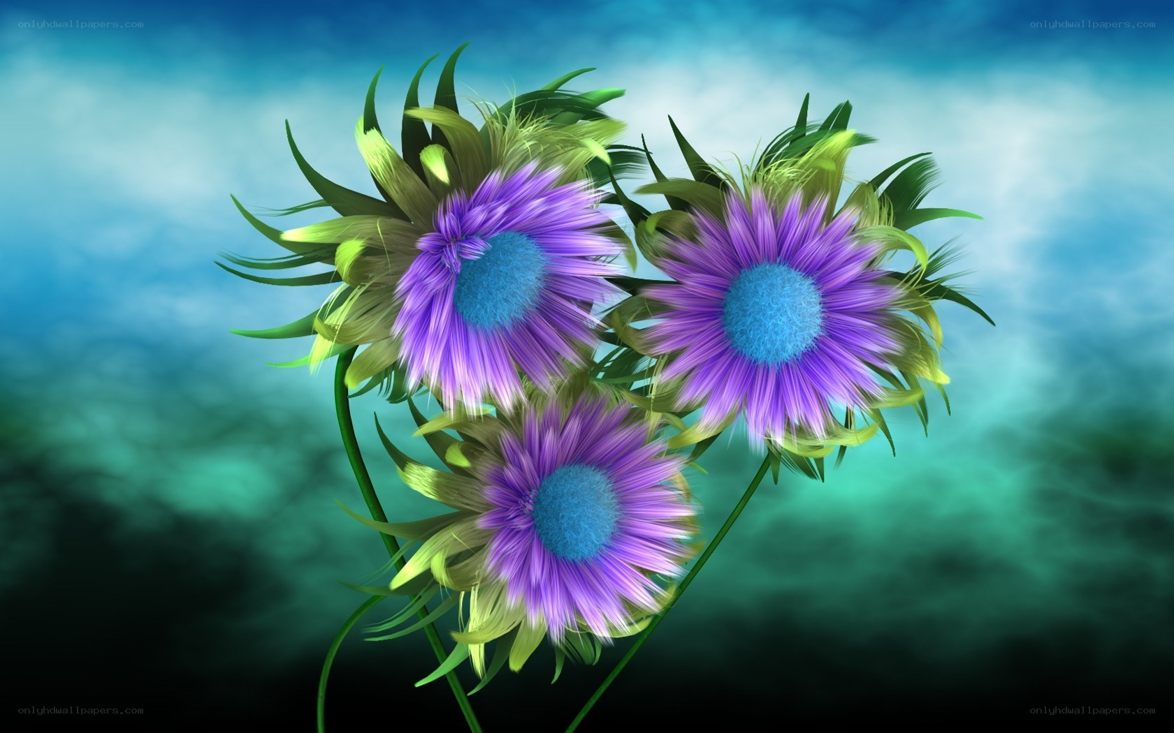 purple flowers with blue centers