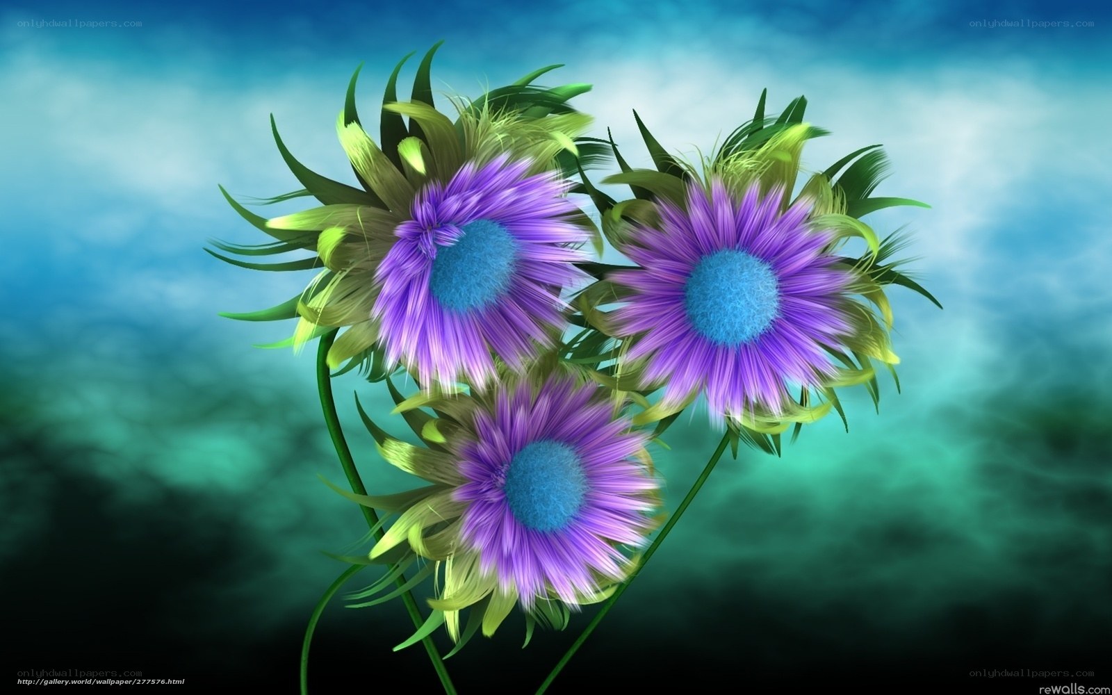 Purple flowers with blue centers