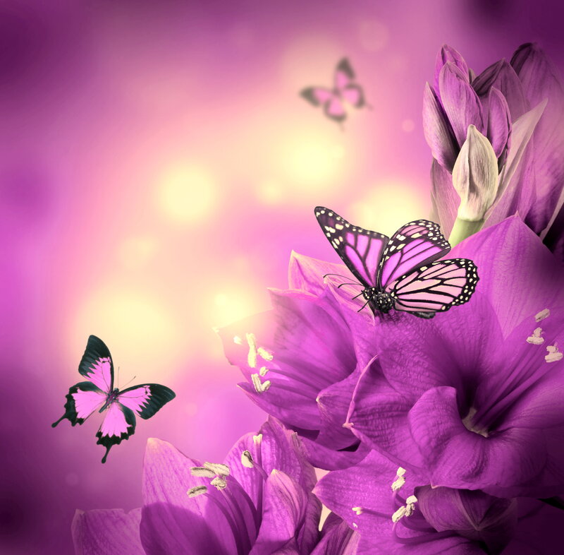 Purple Flowers with Butterflies — Serene