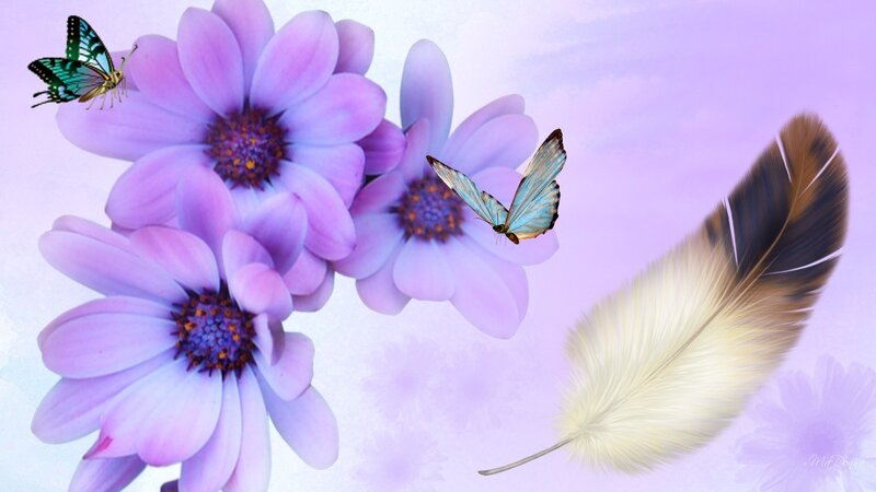 Purple Flowers with Butterflies