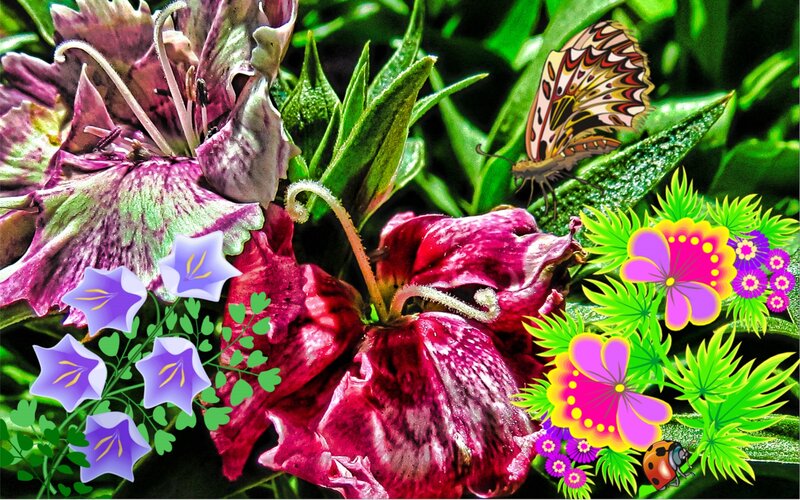 Purple Flowers with Butterfly — Green