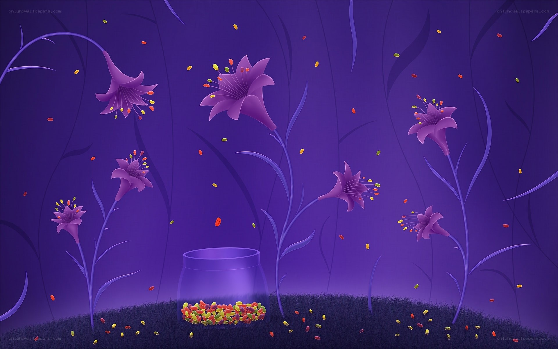Purple flowers with colorful seeds