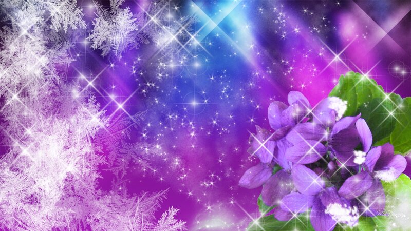 Purple Flowers with Frost