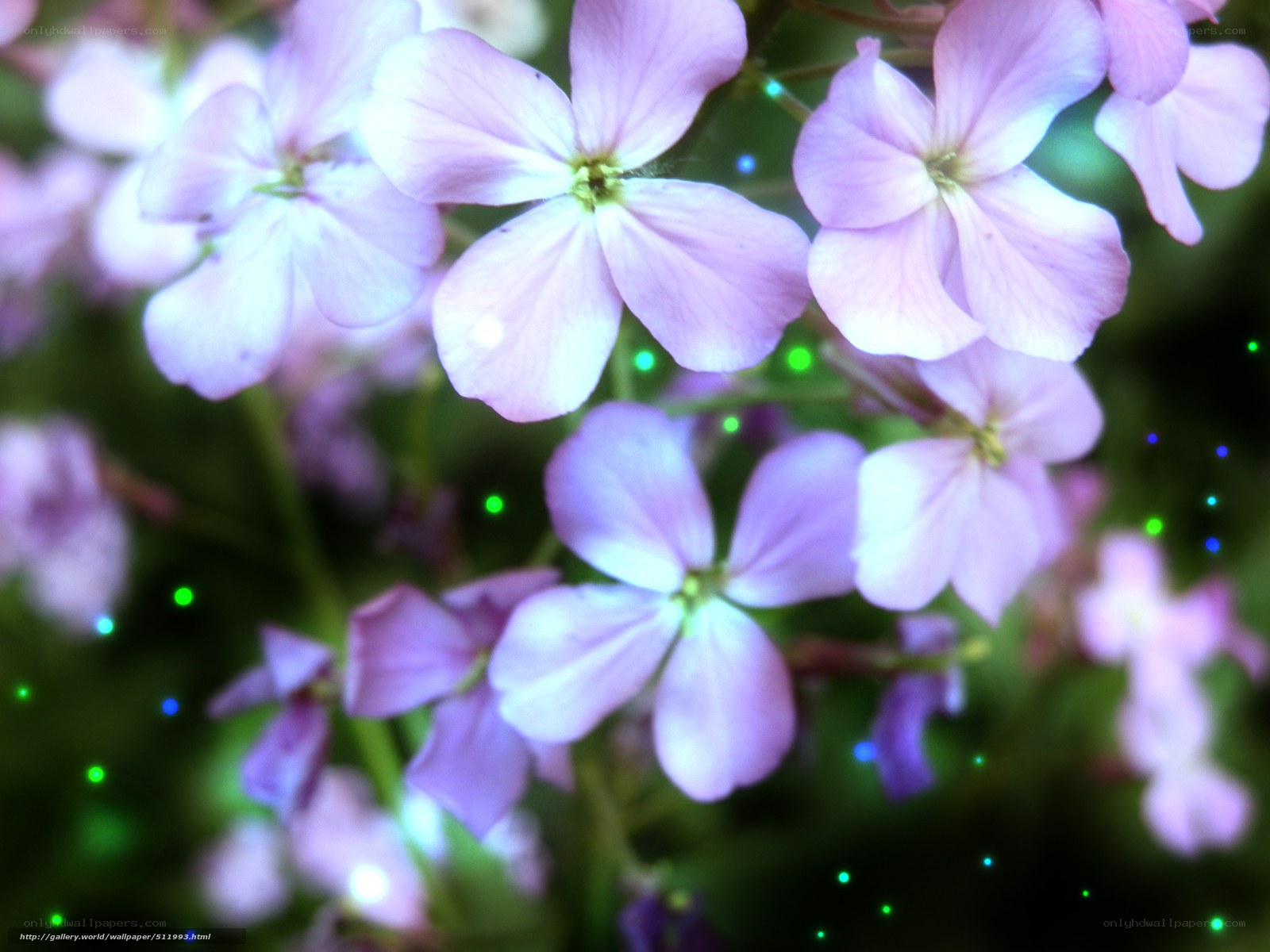 Purple flowers with glowing lights