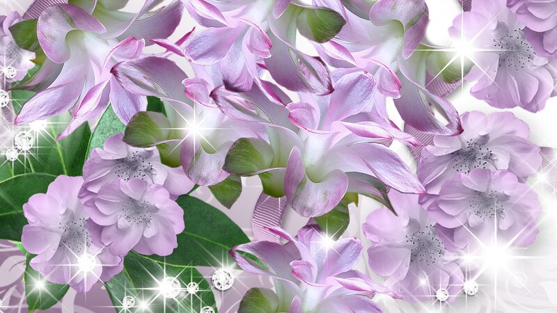 Purple Flowers with Green Leaves — Festive