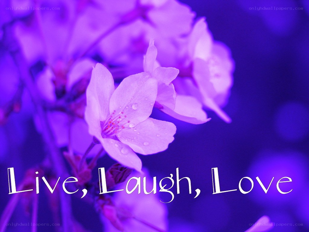 Purple flowers with inspirational text