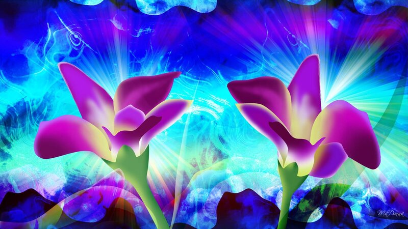 Purple Flowers with Light Rays