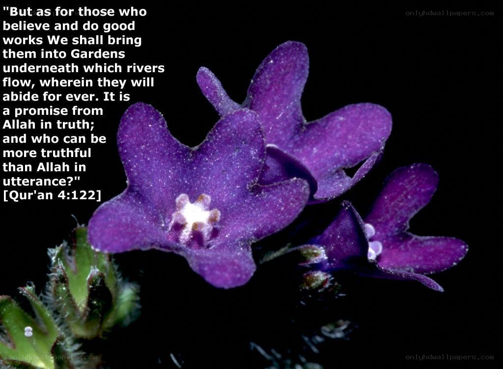 purple flowers with Quranic verse