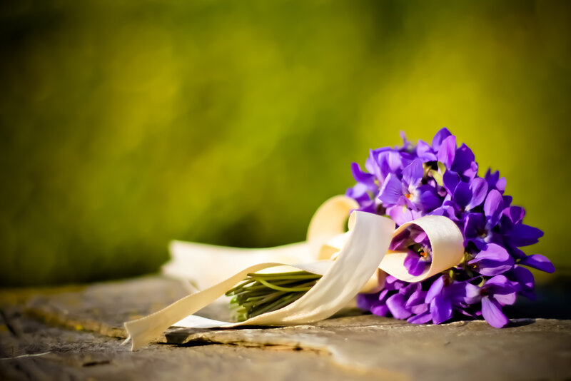 Purple Flowers with Ribbon — Serene
